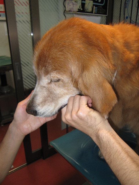 ファイル 1999-4.jpg