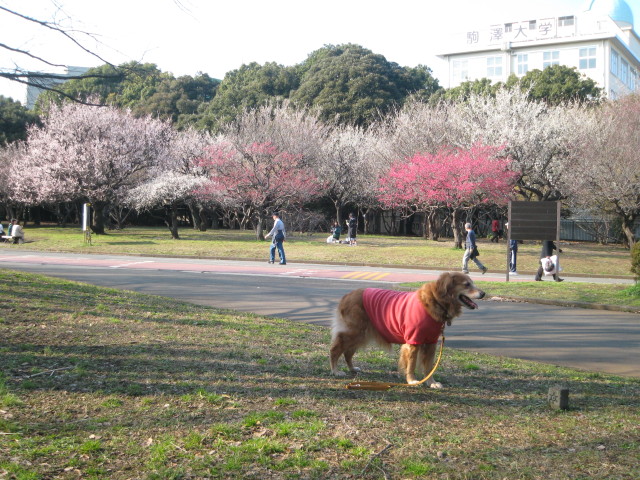 ファイル 200-1.jpg