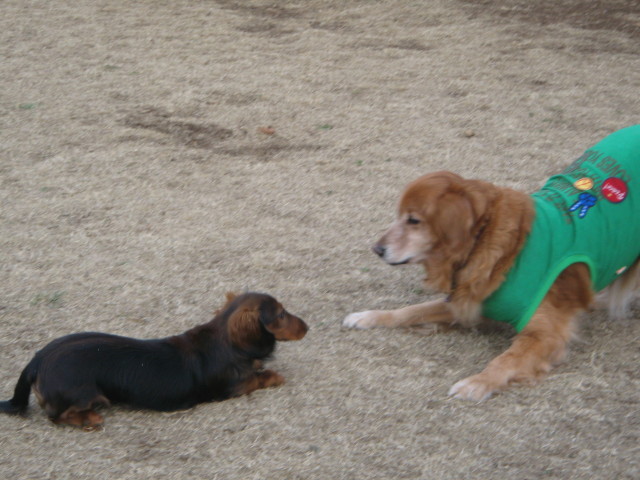 ファイル 200-4.jpg