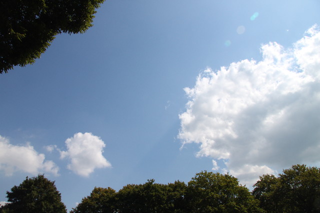 ファイル 2000-1.jpg