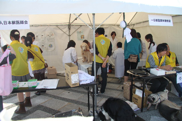 ファイル 2000-4.jpg