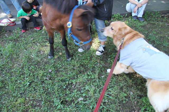 ファイル 2001-3.jpg