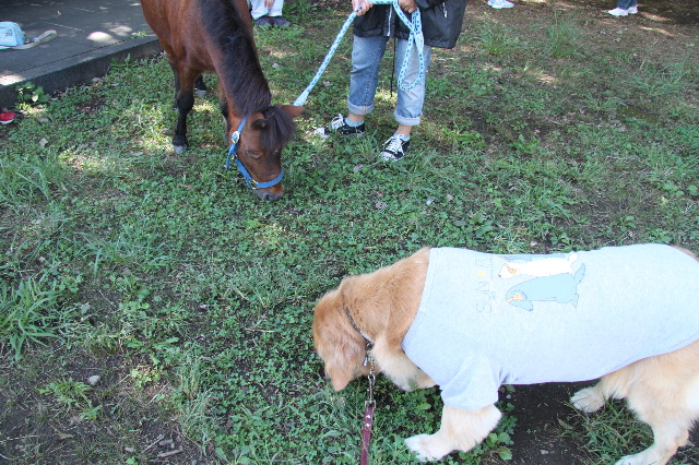 ファイル 2001-5.jpg