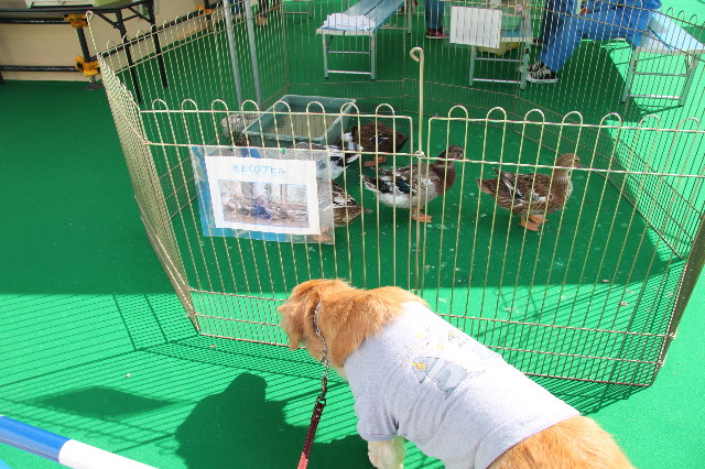 ファイル 2004-2.jpg