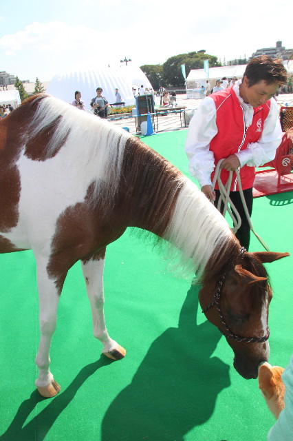 ファイル 2004-3.jpg