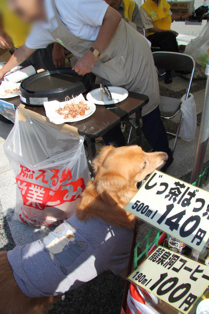 ファイル 2004-5.jpg