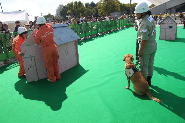 ファイル 2006-1.jpg