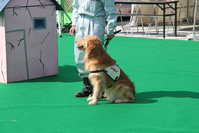 ファイル 2006-2.jpg