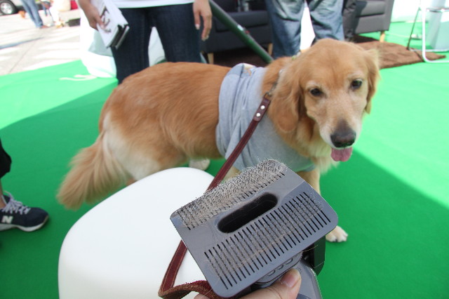 ファイル 2006-4.jpg