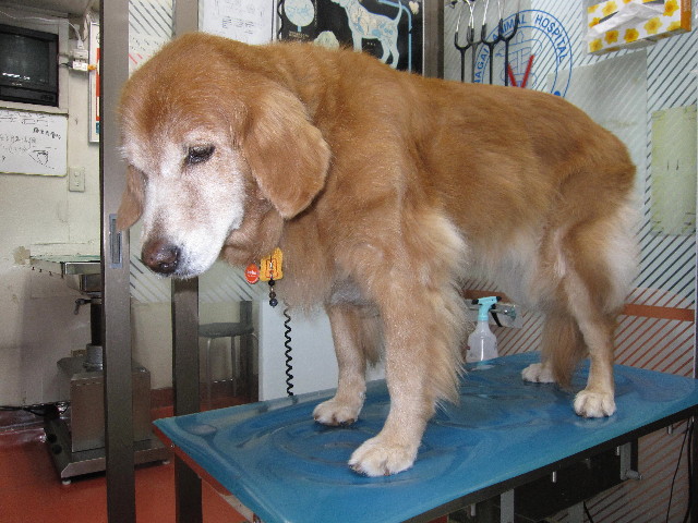 ファイル 2007-3.jpg