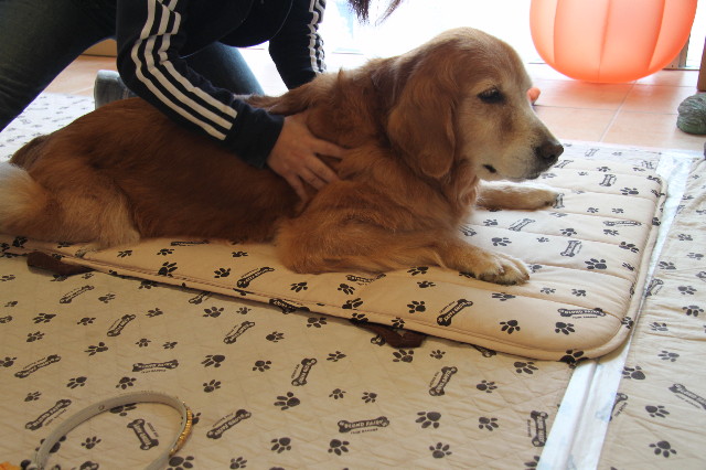 ファイル 2008-2.jpg