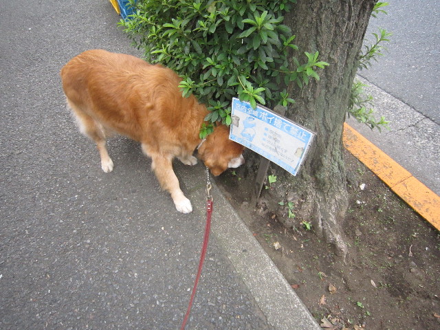 ファイル 2010-2.jpg