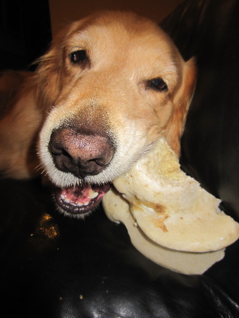 ファイル 2011-2.jpg