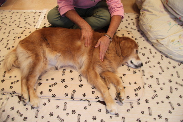 ファイル 2011-4.jpg