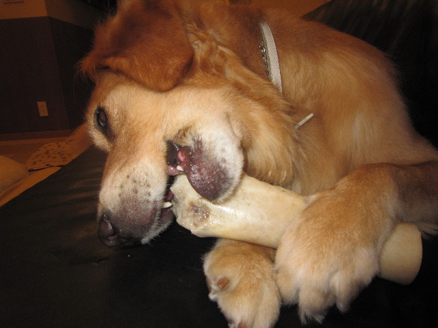 ファイル 2013-4.jpg