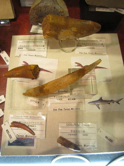 ファイル 2015-5.jpg