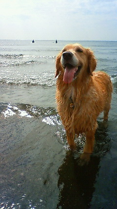 ファイル 2018-3.jpg