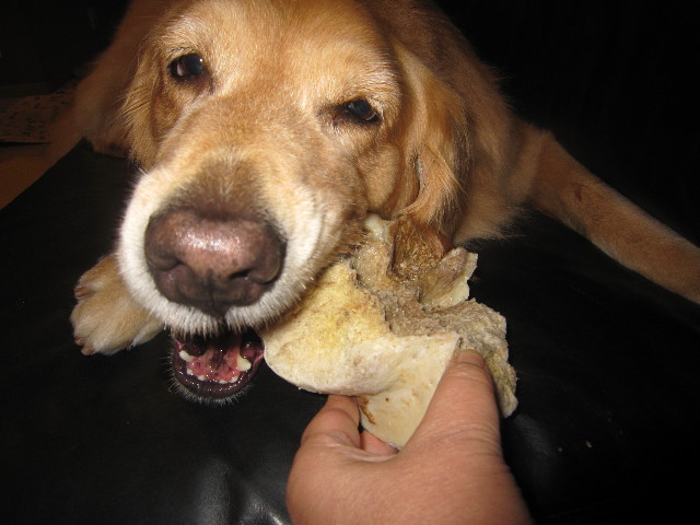 ファイル 2019-5.jpg