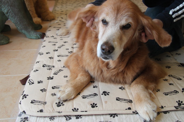 ファイル 2022-1.jpg