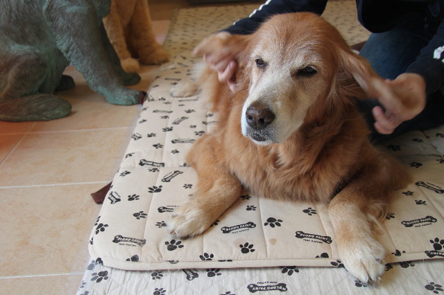 ファイル 2022-2.jpg