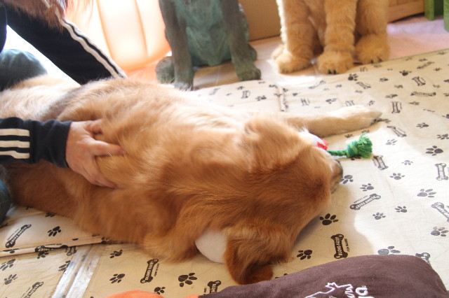 ファイル 2022-5.jpg