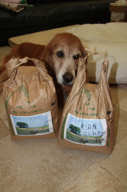 ファイル 2025-1.jpg