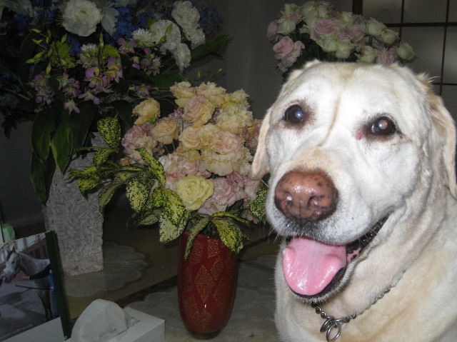 ファイル 2027-4.jpg