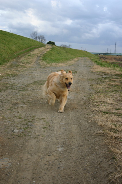 ファイル 203-3.jpg