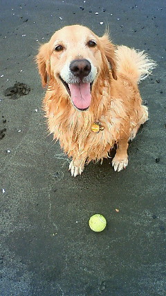 ファイル 2030-4.jpg