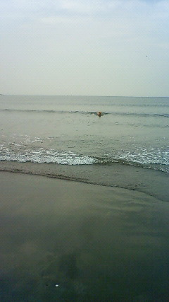 ファイル 2030-5.jpg