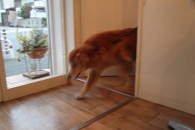 ファイル 2031-2.jpg