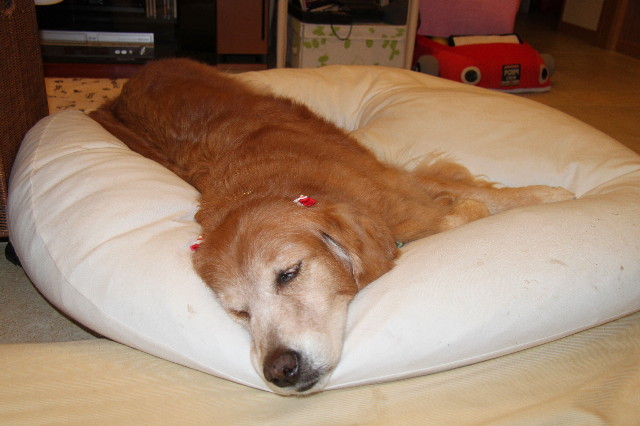 ファイル 2031-4.jpg