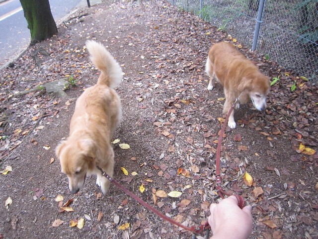 ファイル 2036-5.jpg