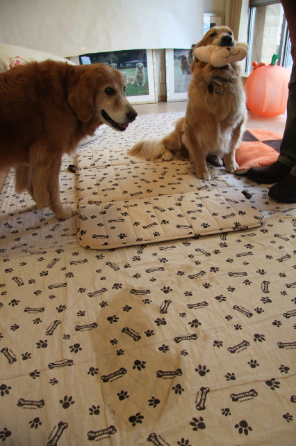 ファイル 2037-3.jpg