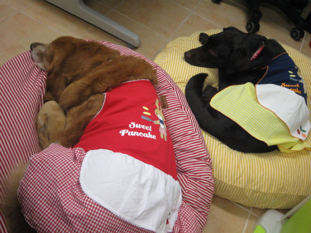 ファイル 204-5.jpg