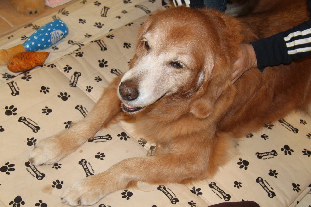 ファイル 2045-3.jpg