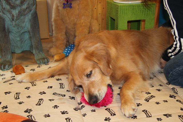 ファイル 2045-4.jpg