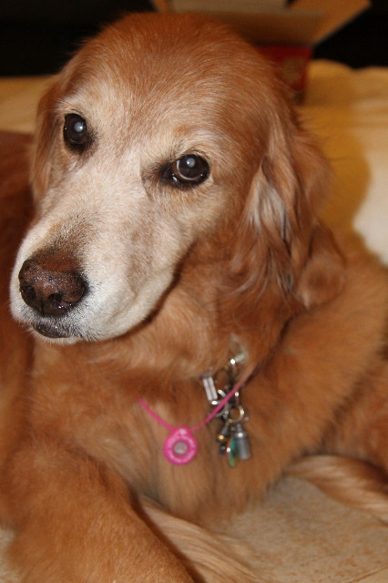 ファイル 2046-2.jpg