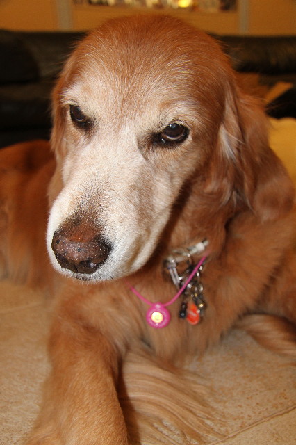 ファイル 2046-3.jpg