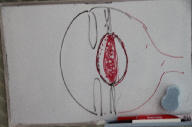 ファイル 2047-2.jpg