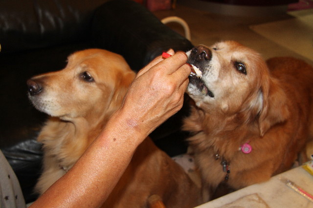 ファイル 2049-1.jpg