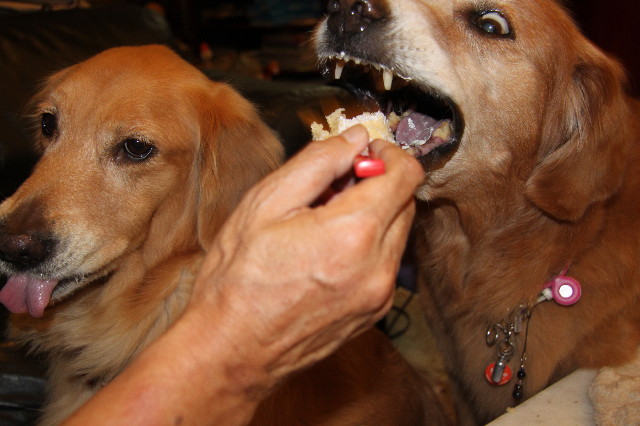 ファイル 2049-2.jpg