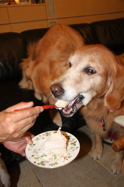 ファイル 2049-3.jpg