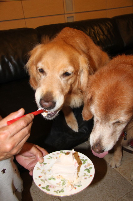 ファイル 2049-4.jpg