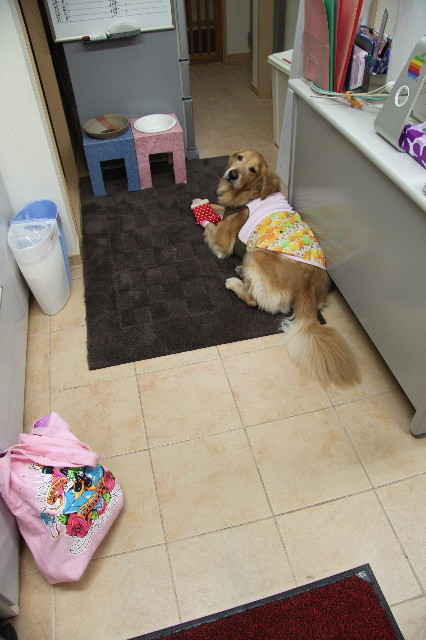 ファイル 2052-1.jpg