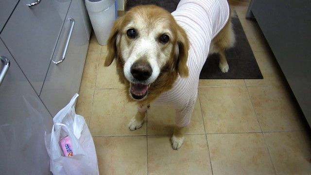 ファイル 2053-2.jpg