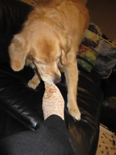 ファイル 2058-1.jpg