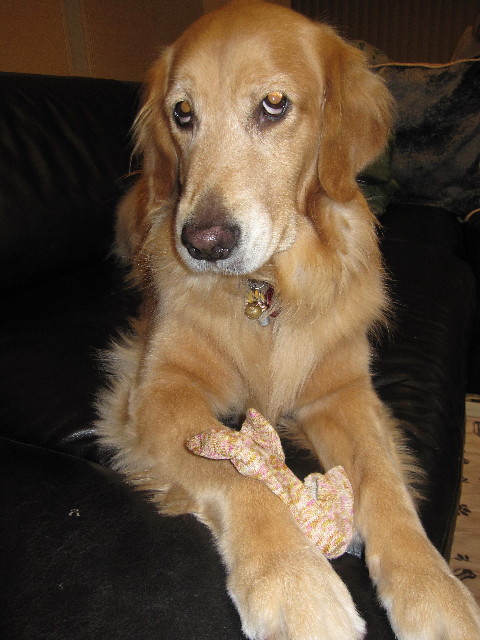 ファイル 2058-2.jpg