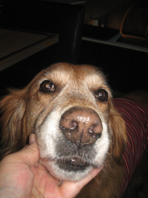 ファイル 206-1.jpg