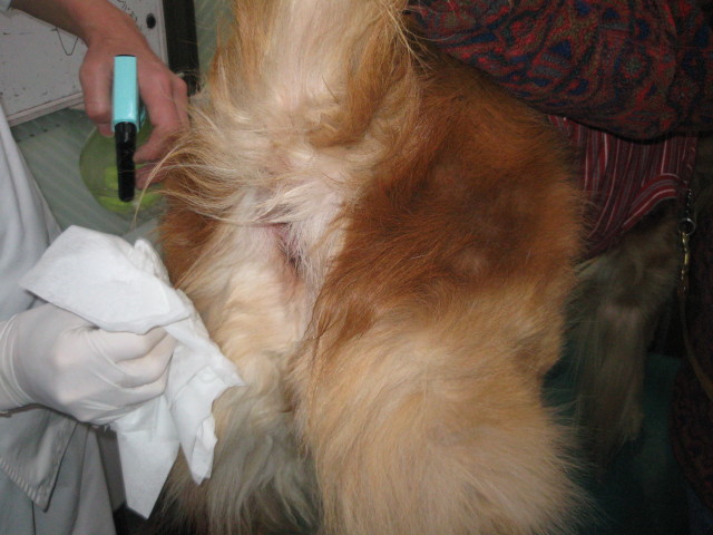 ファイル 206-3.jpg